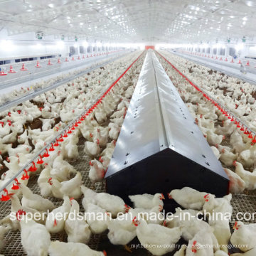 Equipo automático de granja avícola para pollo criador